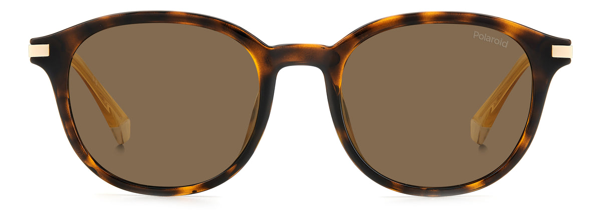 Polaroid Pantos Sunglasses