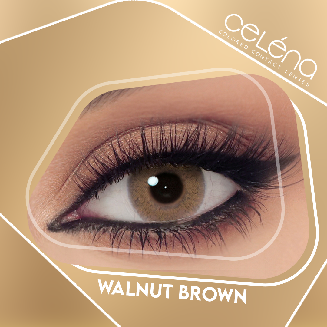 Celena Contact Lenses Walnut Brown